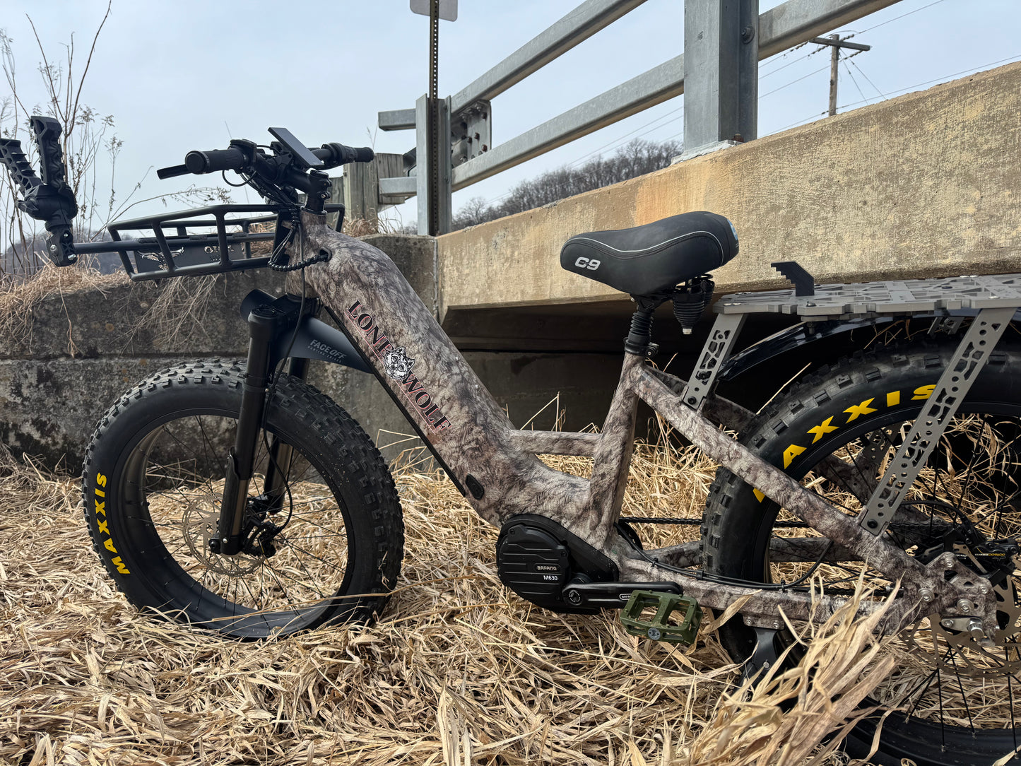 Switchback Beast 2.0 - Bafang 5 speed hub - 52v