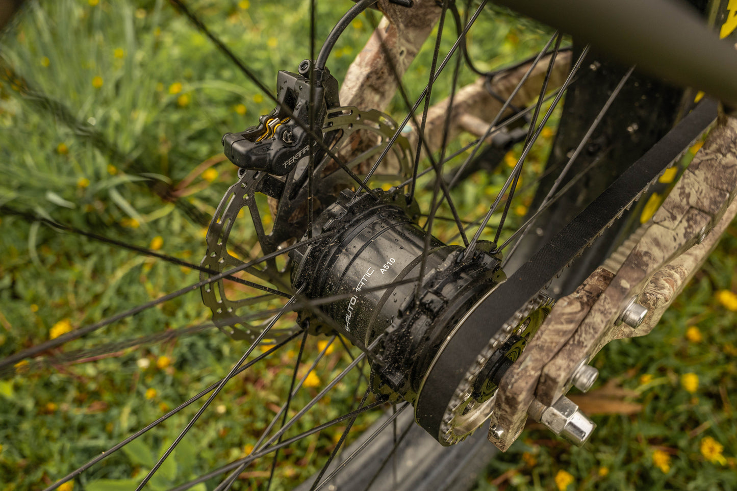Switchback Beast - 52v