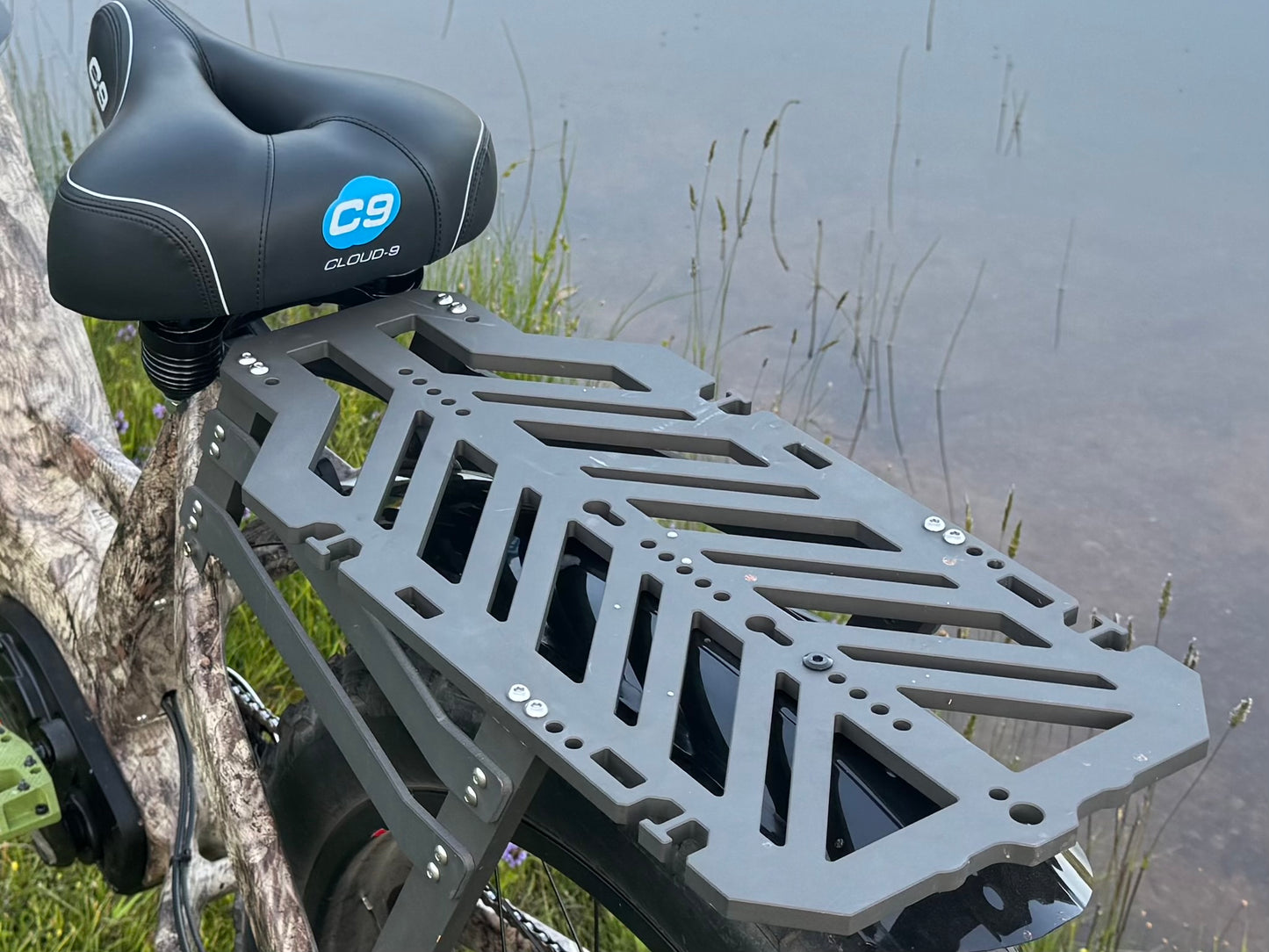 Switchback Beast - Bafang 5 speed Hub - 52v