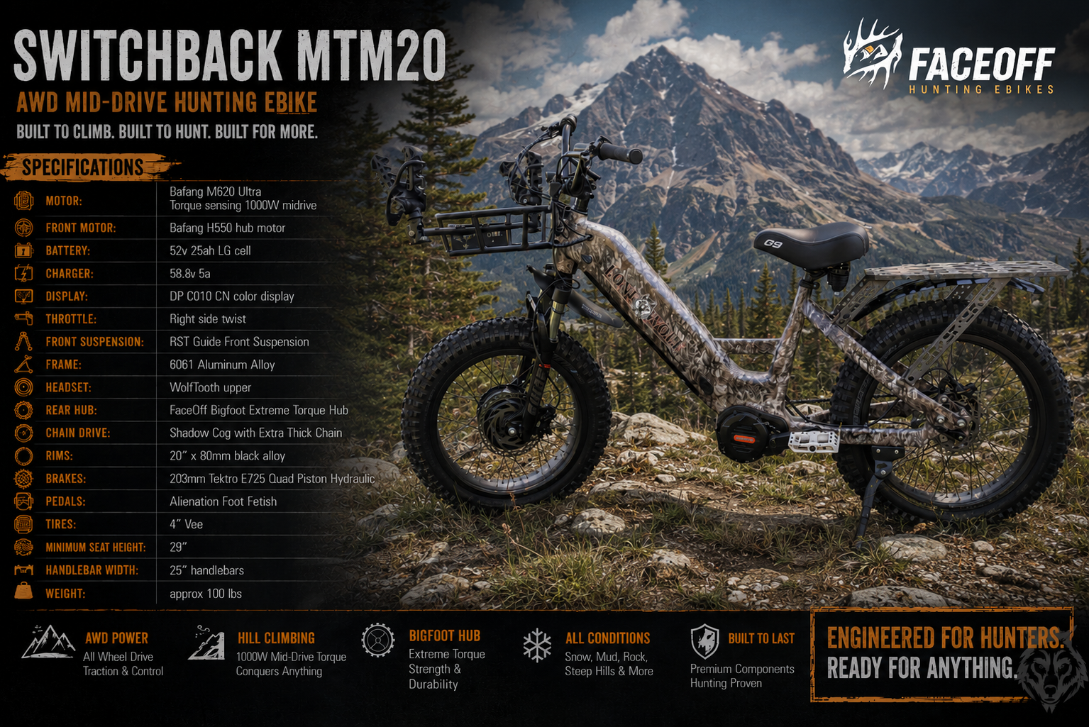 Switchback MTM20