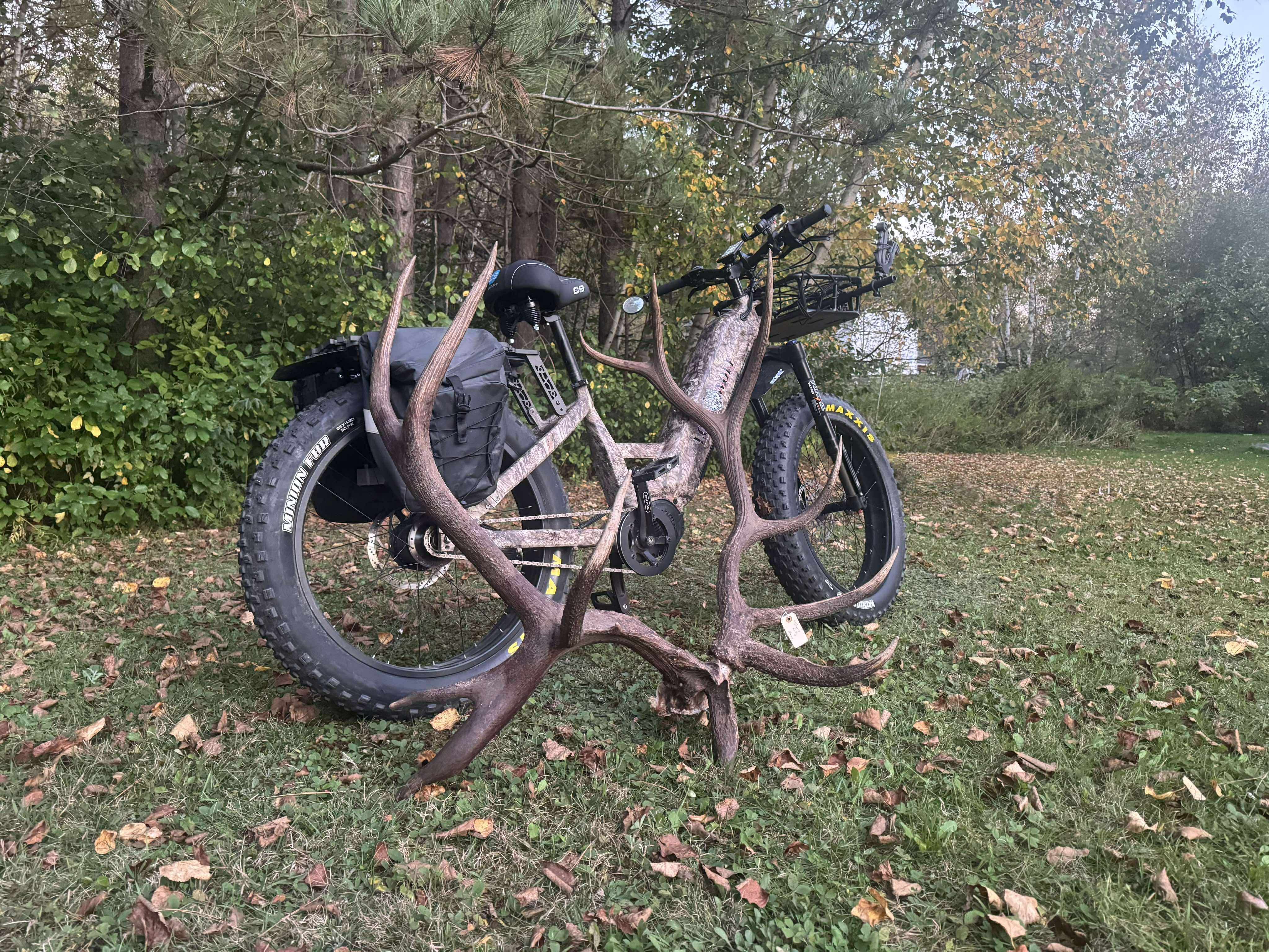 Switchback Berg - Rohloff Hub - 52v – FaceOff Ebikes