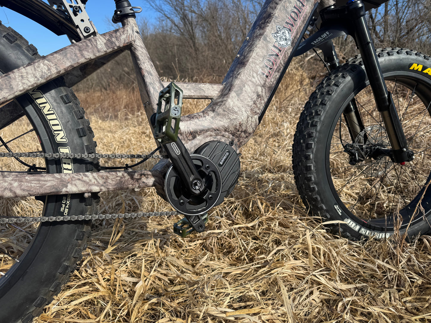 Switchback Beast 2.0 - Bafang 5 speed hub - 52v