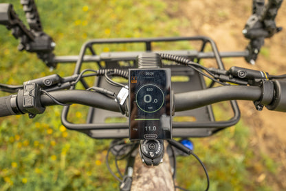 Switchback Beast - 52v