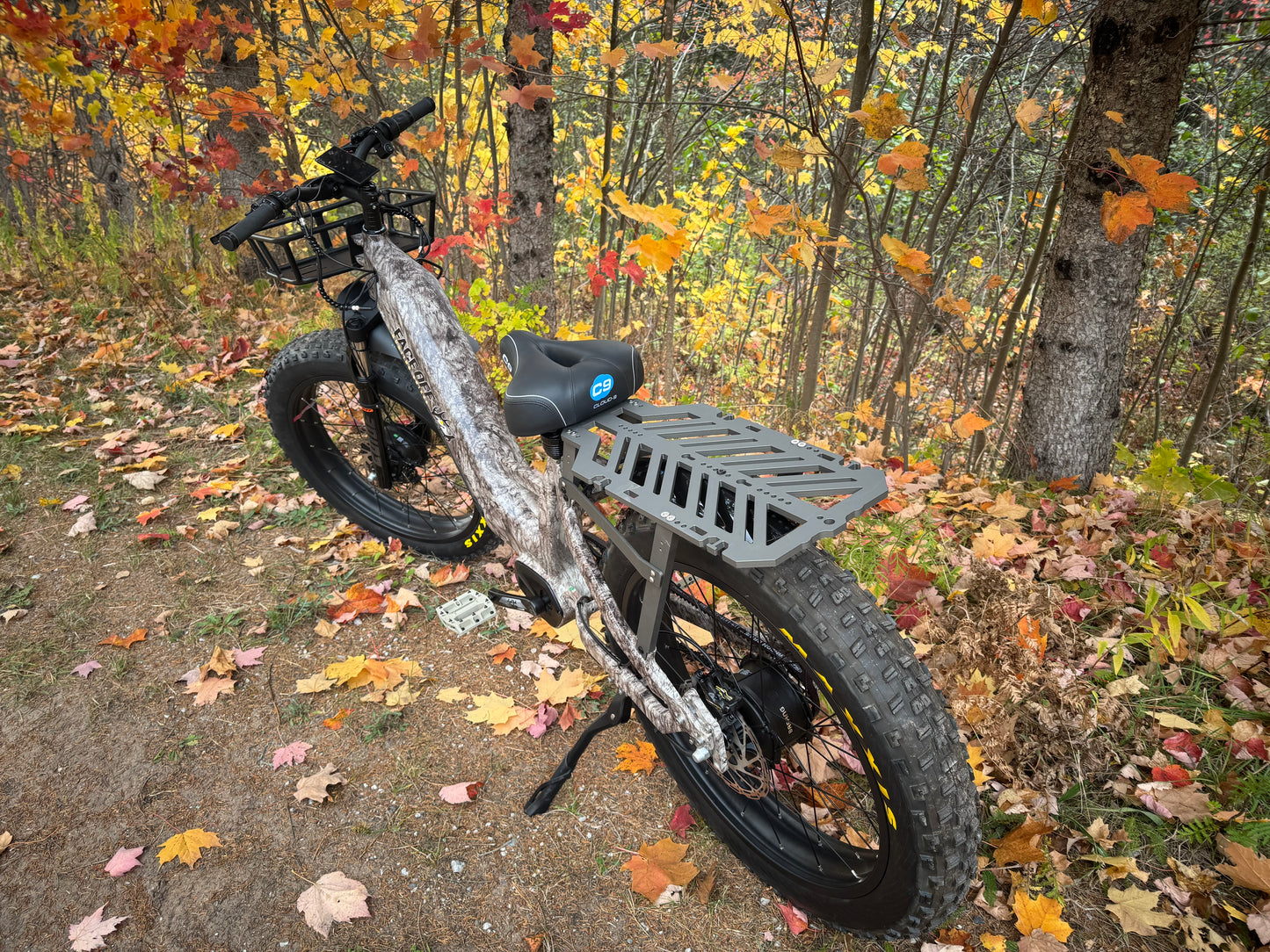 Switchback Double Barrell - dual 1000w hub - 52v