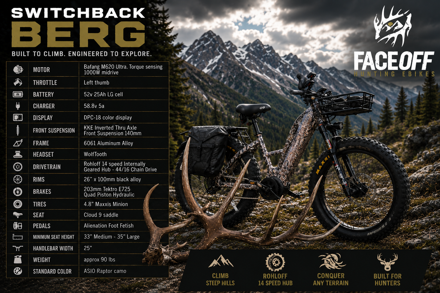 Switchback Berg - Rohloff Hub - 52v